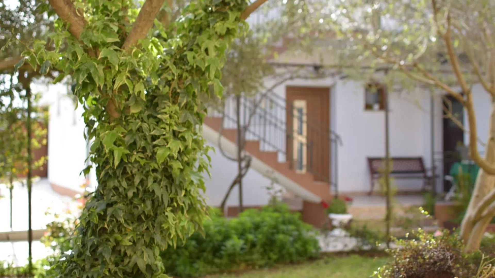 Apartment Ivy Liznjan Croatia